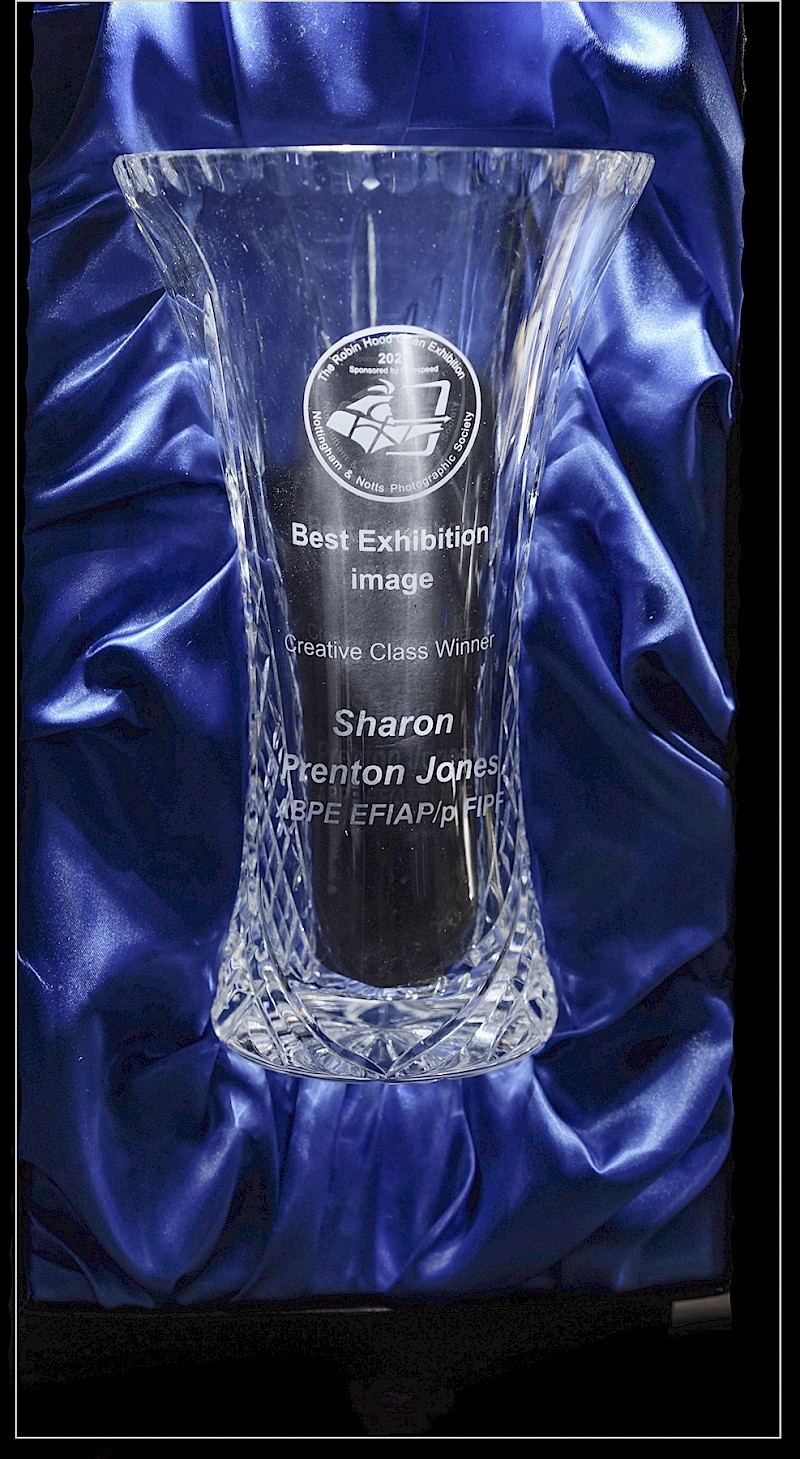 Sharon’s Best Exhibition Image trophy